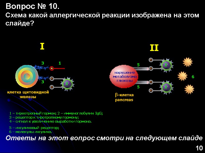 I   1 – тиреотропный гормон; 2 – иммуноглобулин IgG; 3 – рецептор